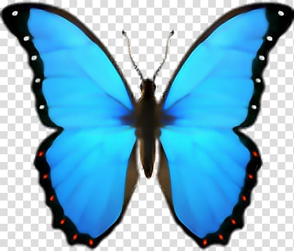 Butterfly Emoji domain iPhone iOS, butterfly transparent background PNG clipart