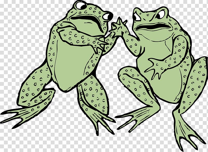 Frog Amphibian Toad , amphibian transparent background PNG clipart