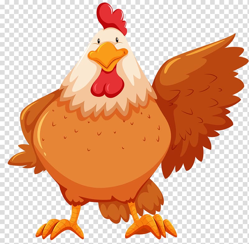 Chicken Flashcard , chicken transparent background PNG clipart