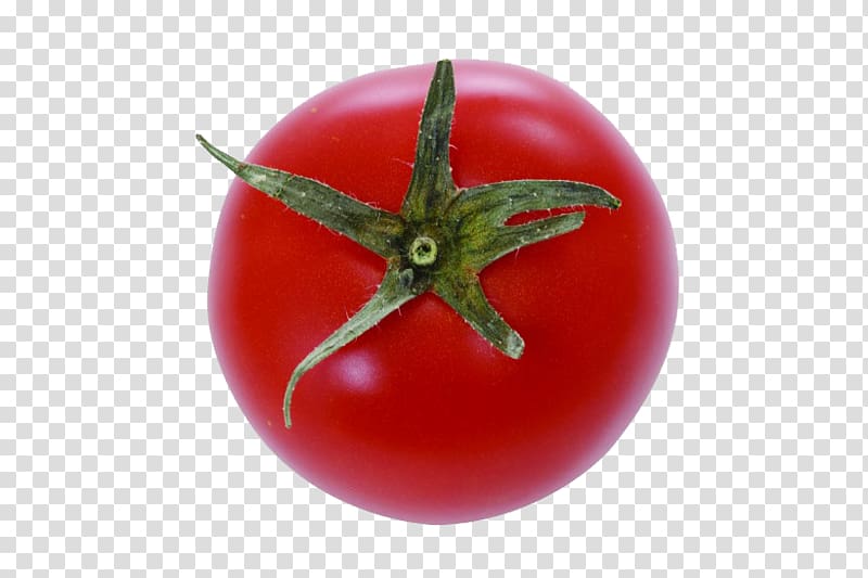 Plum tomato Cherry tomato Bush tomato, Red Persimmon transparent background PNG clipart