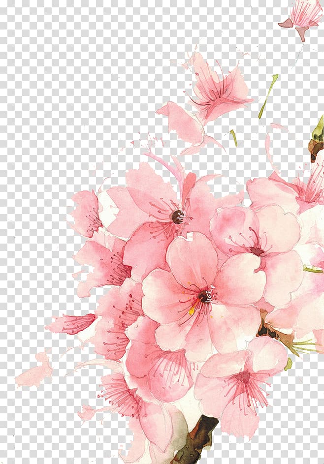 Watercolour Flowers Watercolor painting Drawing, Watercolor flowers, pink flower illustration transparent background PNG clipart