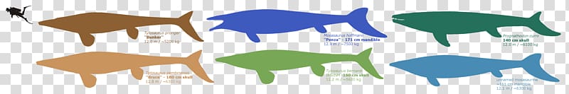 Mosasaurs Reptile Mosasaurus Tylosaurus Art, sea serpent transparent background PNG clipart