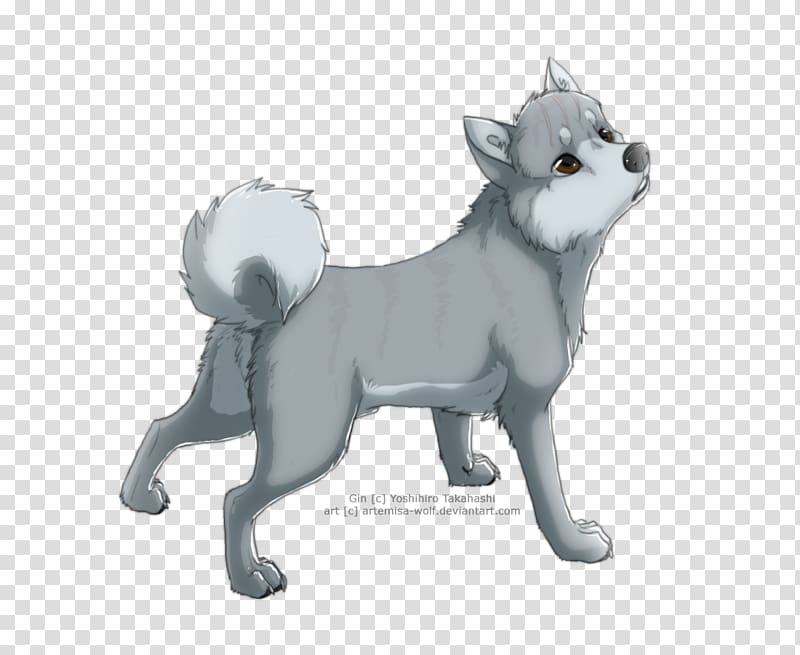 Dog breed Puppy Siberian Husky Akita Rare breed (dog), puppy transparent background PNG clipart
