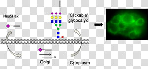 Brand Line Point Angle, line transparent background PNG clipart thumbnail