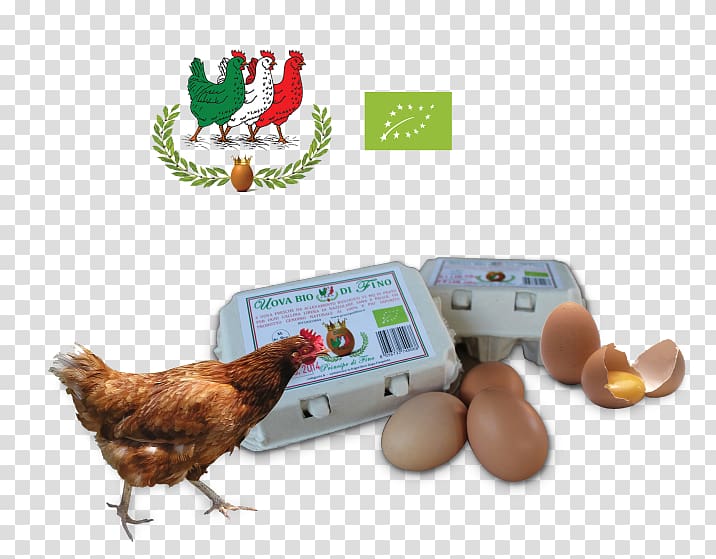 Chicken Egg Animal Husbandry Organic farming Milk, chicken transparent background PNG clipart