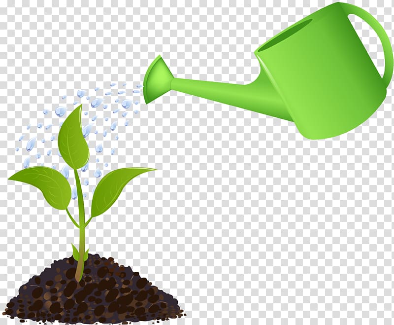 green leaf plant with garden watering pot art, Watering Cans Best Water Plants Garden , plant transparent background PNG clipart