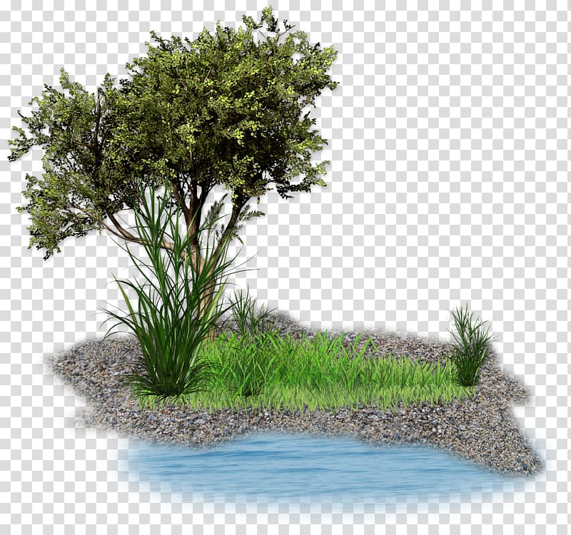 lake trees transparent background PNG clipart