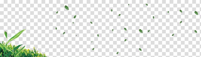 Brand Pattern, Green leaves,Greenbelt transparent background PNG clipart