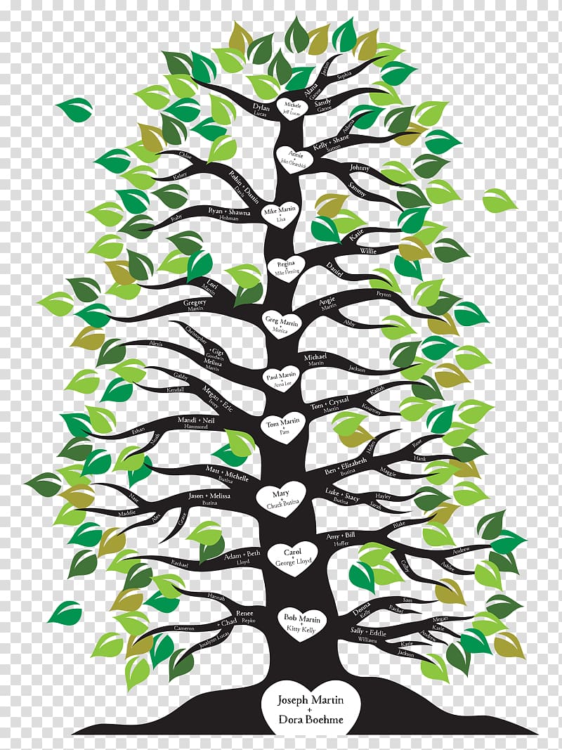 Family tree Branch Root, Family transparent background PNG clipart