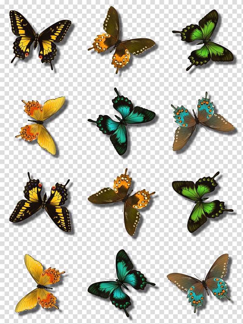 Monarch butterfly PaintShop Pro GIMP, others transparent background PNG clipart