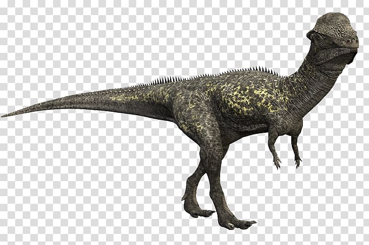 Stegoceras Pachycephalosaurus Late Cretaceous Plateosaurus Dinosaur, 0 Yuan Spike transparent background PNG clipart