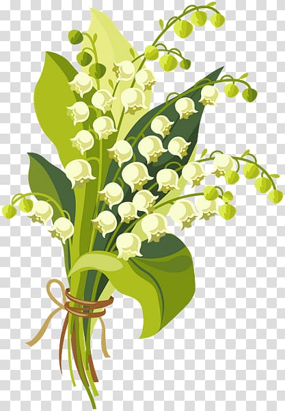 Drawing Lily of the valley, lily of the valley transparent background PNG clipart