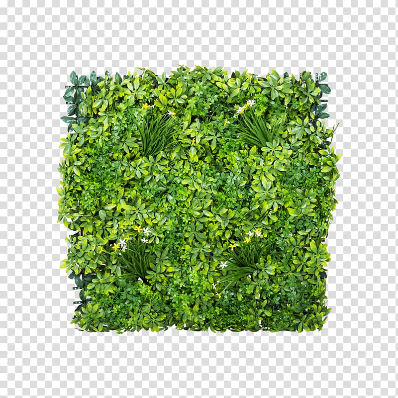 Gardening Shrub Green wall Lawn, others transparent background PNG clipart
