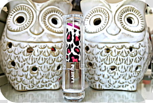 Owl, owl transparent background PNG clipart thumbnail