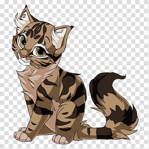 California Spangled Egyptian Mau Kitten Drawing, Brown kitten transparent background PNG clipart