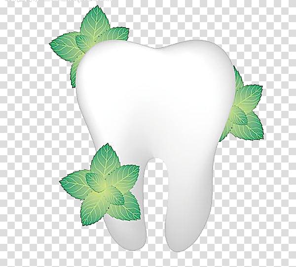 Tooth pathology Gums Dentistry, Fresh green leaves and teeth transparent background PNG clipart