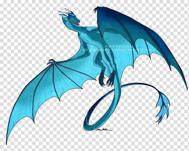 Wyvern Dragon Drawing