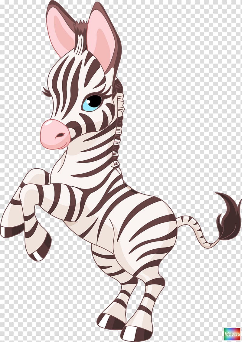 Foal Horse Zebra, zebra transparent background PNG clipart