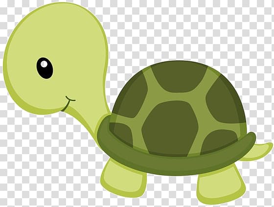 little green turtle transparent background PNG clipart