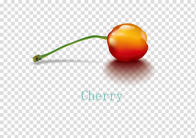 Cherry Auglis, Cherry physical map transparent background PNG clipart