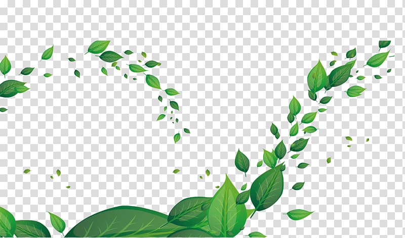 green leaves , Leaf Green Fundal, Falling leaves transparent background PNG clipart