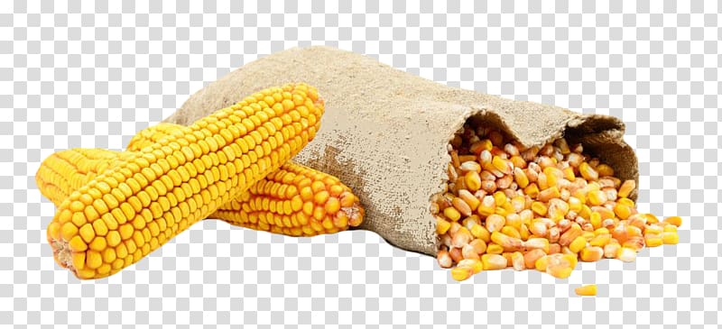 Waxy corn Bag Corn kernel Sweet corn Animal feed, Corn grain grain transparent background PNG clipart