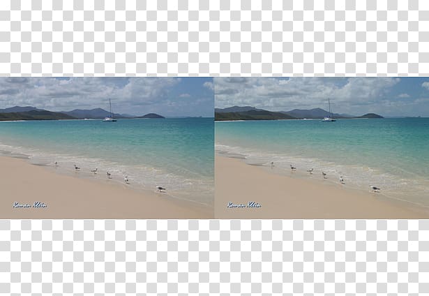 Caribbean Beach Coast Ocean Inlet, Project Reality transparent background PNG clipart