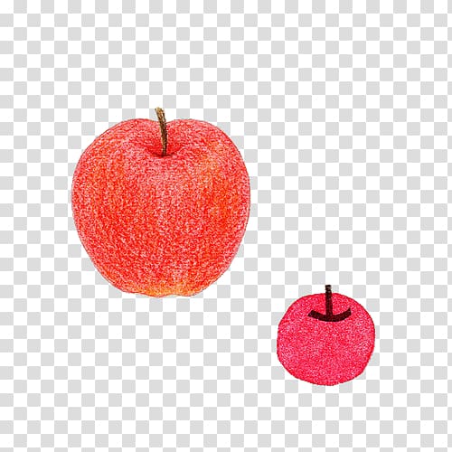 Apple Red Color Computer file, Simple small fresh red apple color of lead transparent background PNG clipart