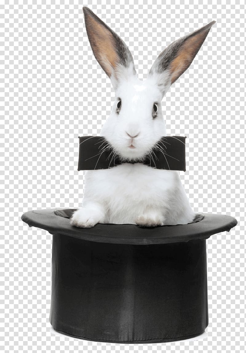 The Magic Rabbit Hat-trick , rabbit transparent background PNG clipart
