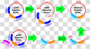 Technology Brand Line Product, technology transparent background PNG clipart thumbnail