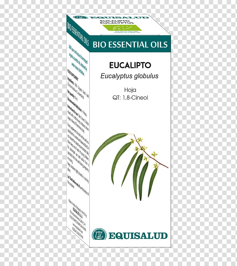 Garden Thyme Essential oil Eucalyptol Basil, oil transparent background PNG clipart