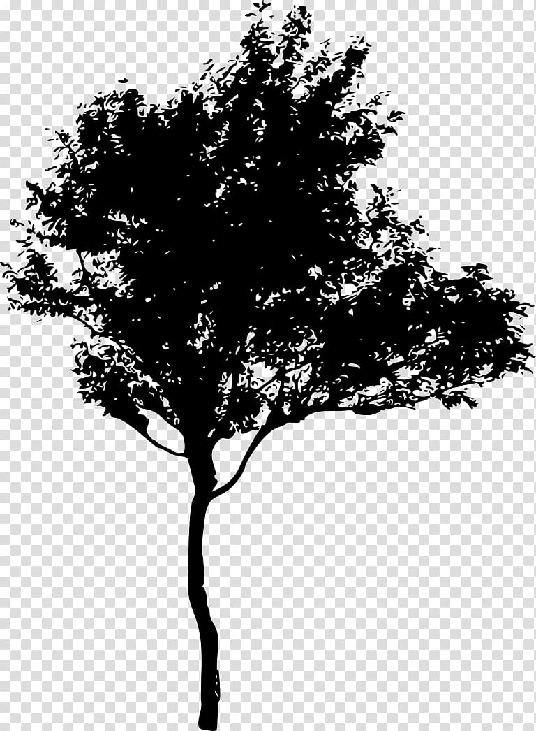Silhouette Tree , mangrove transparent background PNG clipart