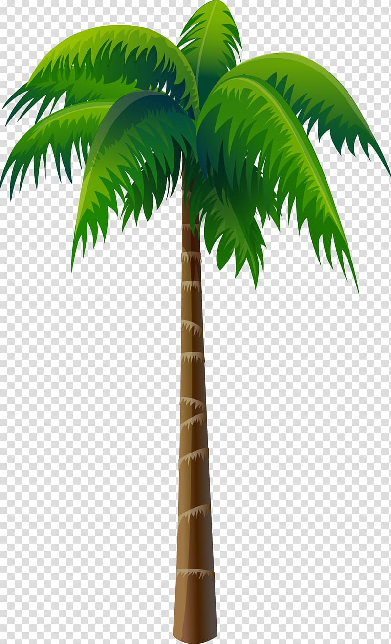 coconut tree, Arecaceae Coconut Tree, palms transparent background PNG clipart