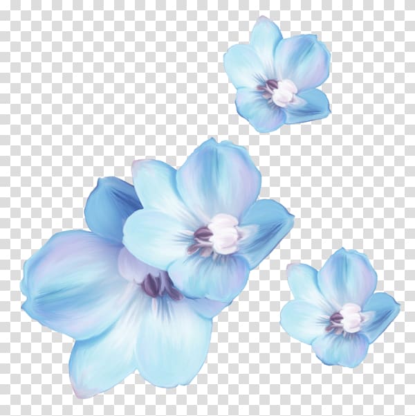 Mallows Cut flowers Petal, others transparent background PNG clipart