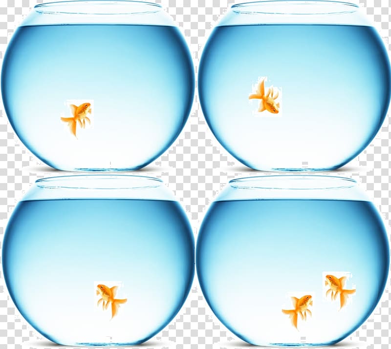 Water Liquid Table-glass Animal, real estate boards transparent background PNG clipart