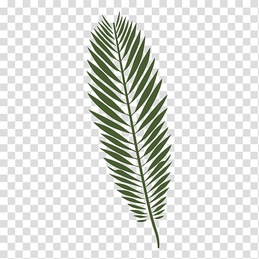 green leaf illustration, Leaf Drawing Fern, tropical leaf transparent background PNG clipart