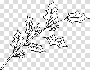 Twig White Plant stem , design transparent background PNG clipart thumbnail