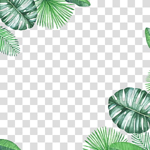 Green leaves frame PNG transparent image download, size: 3500x2300px
