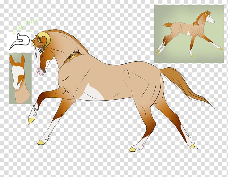 Foal Mane Stallion Mustang Colt, mustang transparent background PNG clipart