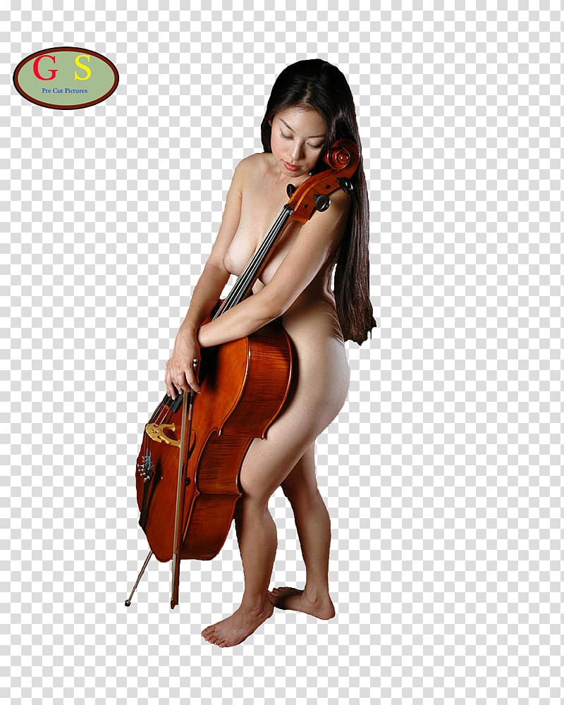 Violone Cello Double bass Viola Violin, violin transparent background PNG clipart
