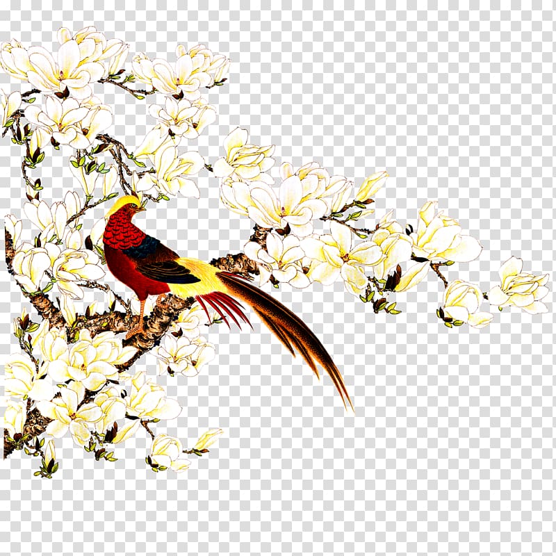 red bird illustration, Bird-and-flower painting Shan shui Wall Mural, Birds and Flowers transparent background PNG clipart
