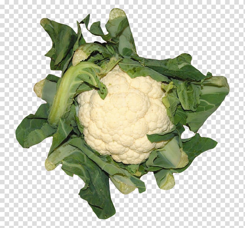 Cauliflower Vegetable Broccoflower, cauliflower transparent background PNG clipart