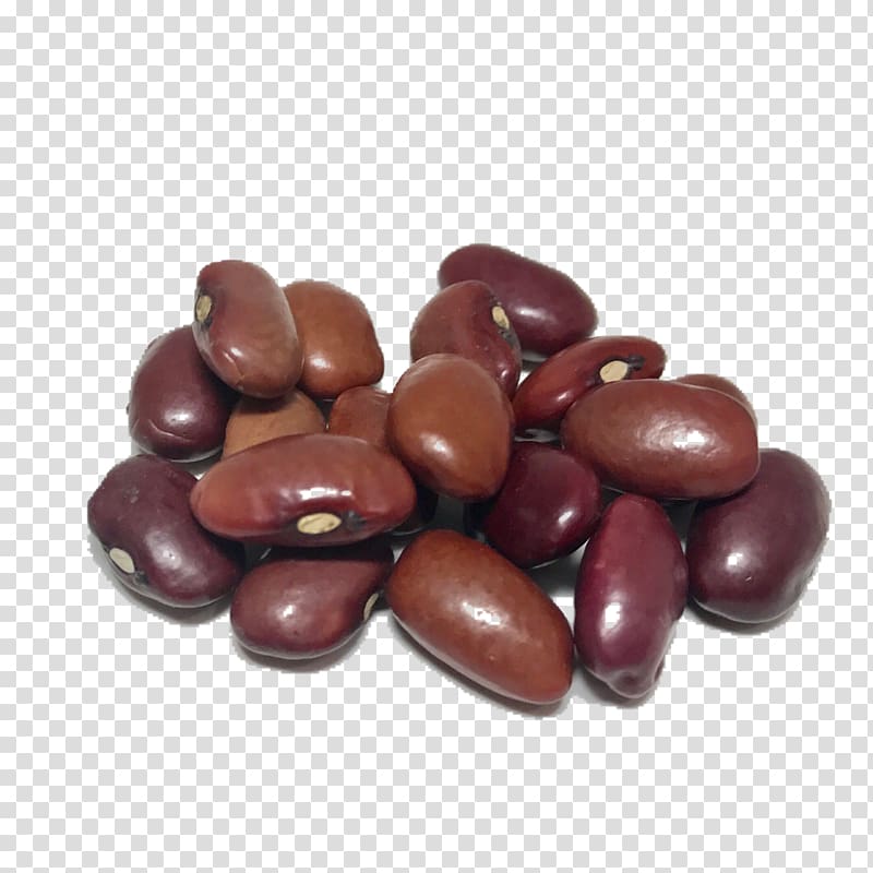 Heirloom Beans Shady Side Farm Inc Heirloom plant Cocoa bean, soybean transparent background PNG clipart