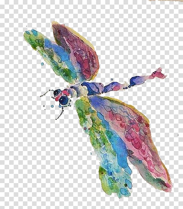 Watercolor painting Animal Tencent QQ Avatar Illustration, Color Watermark Dragonfly transparent background PNG clipart