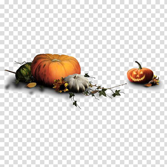 Halloween costume Jack-o-lantern Boszorkxe1ny, pumpkin lantern transparent background PNG clipart