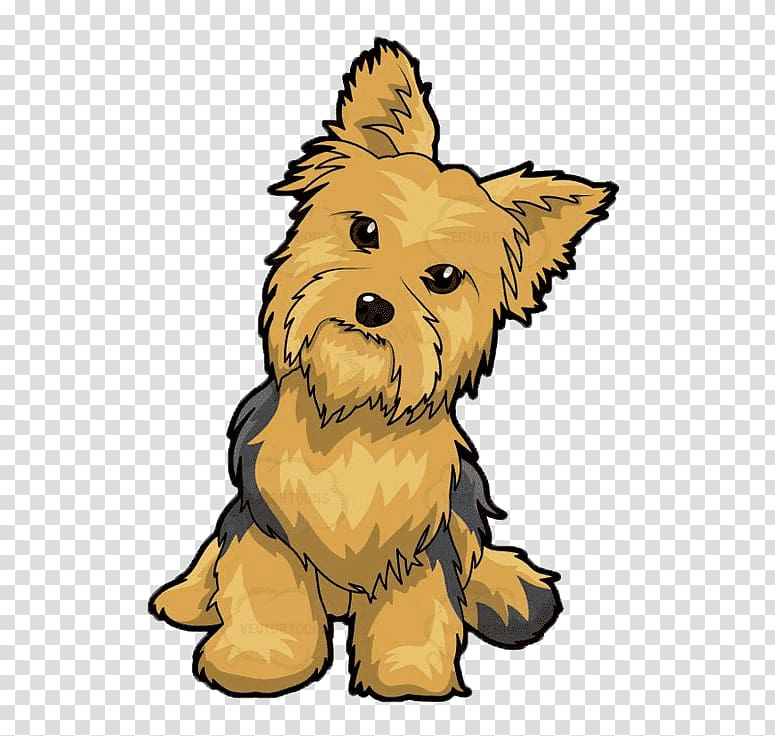 Yorkshire Terrier Puppy Yorkipoo English Toy Terrier Poodle, puppy transparent background PNG clipart