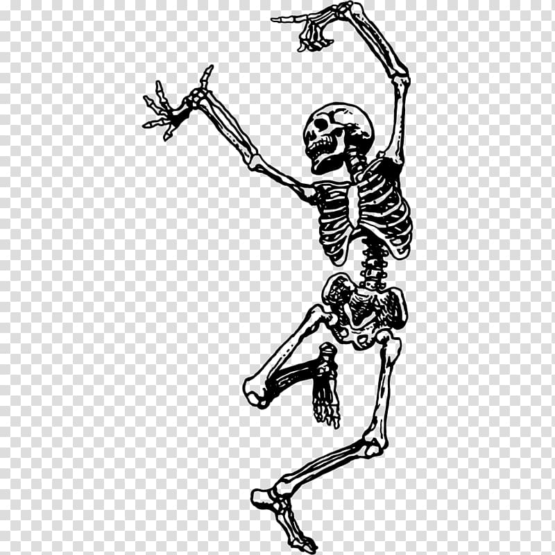 skeleton , Sticker Skeleton Dance Skull Wall decal, Skeleton transparent background PNG clipart