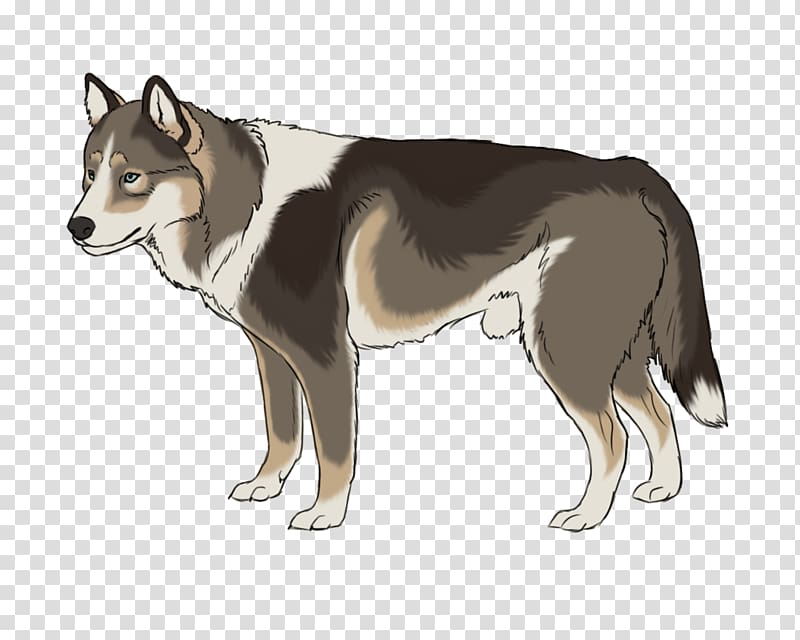 Saarloos wolfdog Siberian Husky East Siberian Laika Czechoslovakian Wolfdog West Siberian Laika, angry dog transparent background PNG clipart