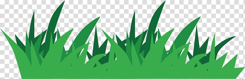 cartoon grass transparent background PNG clipart