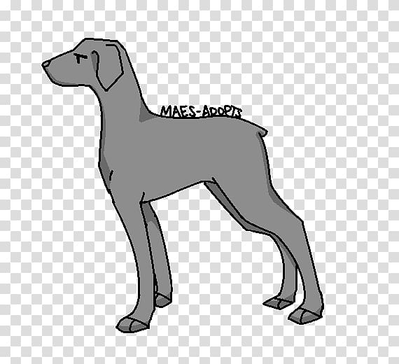 Dog breed Italian Greyhound Puppy Line art, puppy transparent background PNG clipart